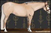Horse Color:Silver Bay Pearl Sabino