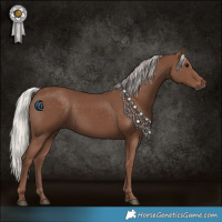 Horse Color:Silver Black 
