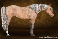 Horse Color:Bay Varnish  and Silver Bay Varnish 