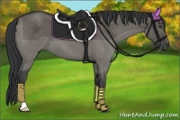 Horse Color:Grullo 