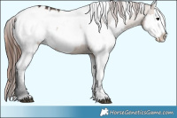 Horse Color:Bay Dun Sabino Splash Blanket  and Amber Champagne Dun Sabino Splash Blanket 