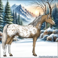 Horse Color:Silver Smoky Black Appaloosa 