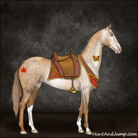 Horse Color:Gray Gold Champagne