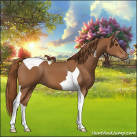 Horse Color:Chestnut Tobiano 