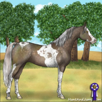 Horse Color:Silver Brown Dun Splash Tobiano 