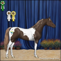 Horse Color:Liver Chestnut Tobiano 