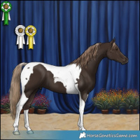 Horse Color:Liver Chestnut Tobiano 