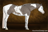 Horse Color:Silver Black Splash Tobiano Varnish 
