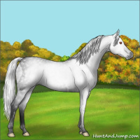Horse Color:Gray Void Silver Black Chinchilla Splash Tobiano 