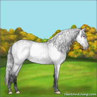 Horse Color:Gray Void Silver Classic Champagne Chinchilla Splash Tobiano 