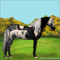 Horse Color:Void Silver Classic Champagne Splash Tobiano 