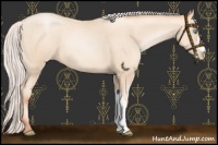 Horse Color:Silver Sable Cream Champagne Pearl 