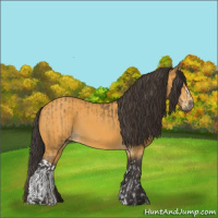 Horse Color:Buckskin  and Buckskin 