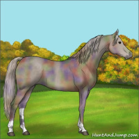 Horse Color:Nacre Silver Black Tobiano 