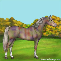 Horse Color:Nacre Silver Black Tobiano 