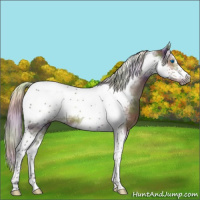 Horse Color:Nacre Silver Black Tobiano Frame 