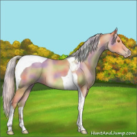 Horse Color:Nacre Silver Classic Champagne Tobiano 