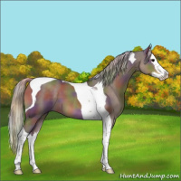 Horse Color:Nacre Silver Black Splash Tobiano 