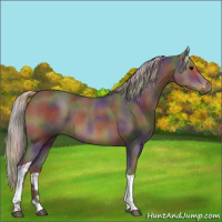 Horse Color:Nacre Silver Black Tobiano 