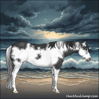Horse Color:Black Splash Frame