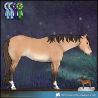 Horse Color:Bay Dun