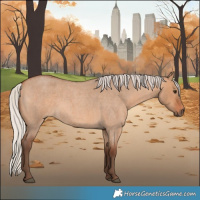 Horse Color:Silver Bay Roan Dun 