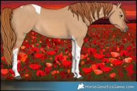 Horse Color:Red Dun Tobiano
