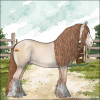 Horse Color:Gold Champagne Dun Sabino 