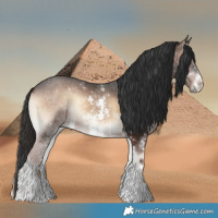 Horse Color:Liver Red Onyx Sabino