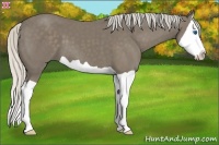 Horse Color:Silver Smoky Black Splash 