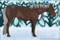 Horse Color:Silver Brown 