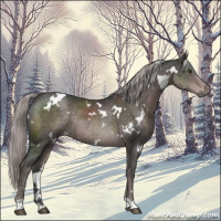 Horse Color:Platinum White Spotted Liver Chestnut Rabicano 
