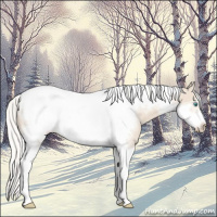 Horse Color:Silver Smoky Creme Tobiano Frame 