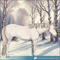 Horse Color:Perlino Roan 