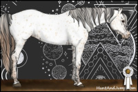 Horse Color:Grullo Roan Near Fewspot Rabicano  and Red Dun Near Leopard 