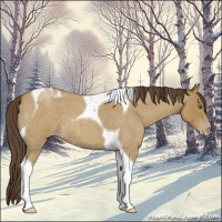 Horse Color:Classic Cream Champagne Roan Tobiano 