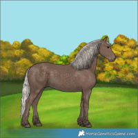 Horse Color:Silver Black 