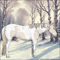 Horse Color:Smoky Creme Roan Tobiano 