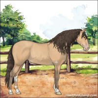Horse Color:Amber Champagne Rabicano 