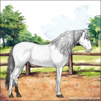 Horse Color:Brown Fewspot 