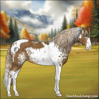Horse Color:White Spotted Chocolate Palomino Splash Tobiano Near Leopard  and White Spotted Chocolate Palomino Splash Tobiano 