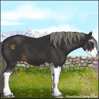 Horse Color:Liver Chestnut Mushroom Sabino 