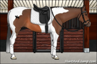Horse Color:Bay Tobiano