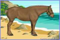 Horse Color:Chocolate Palomino