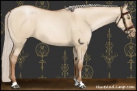 Horse Color:Silver Brown Pearl Dun 