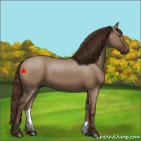 Horse Color:Liver Red Dun 