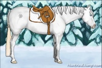 Horse Color:Gold Champagne Pearl Splash Tobiano Appaloosa 