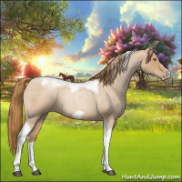 Horse Color:Red Roan Pearl Tobiano Frame 