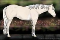 Horse Color:Cremello Tobiano