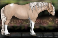 Horse Color:Silver Blue Roan Pearl Tobiano Frame 